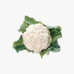 Gorton’s Beer Battered Fish Fillets