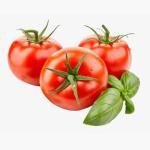 Naturally Flavored Cinnamon Vanilla Light Roast Coffee (Digital)