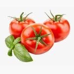 Gorton’s Beer Battered Fish Fillets